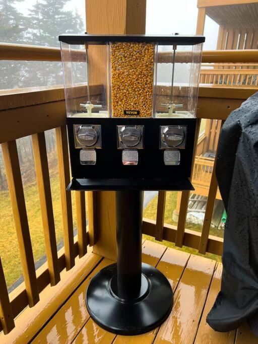 202D Summit - Completely Remodeled Modern Condo In Summit! Snowshoe Dış mekan fotoğraf